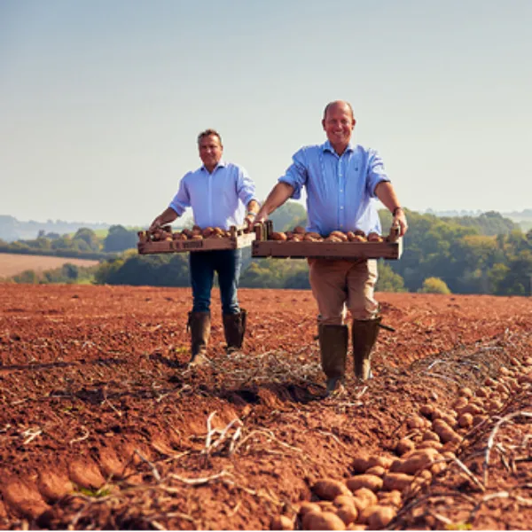 photo of The Two Farmers Crisps founders carrying potatoes in a field